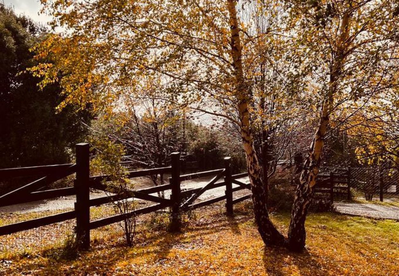 Casa en San Carlos de Bariloche - CASA DE BREINS PLAATS